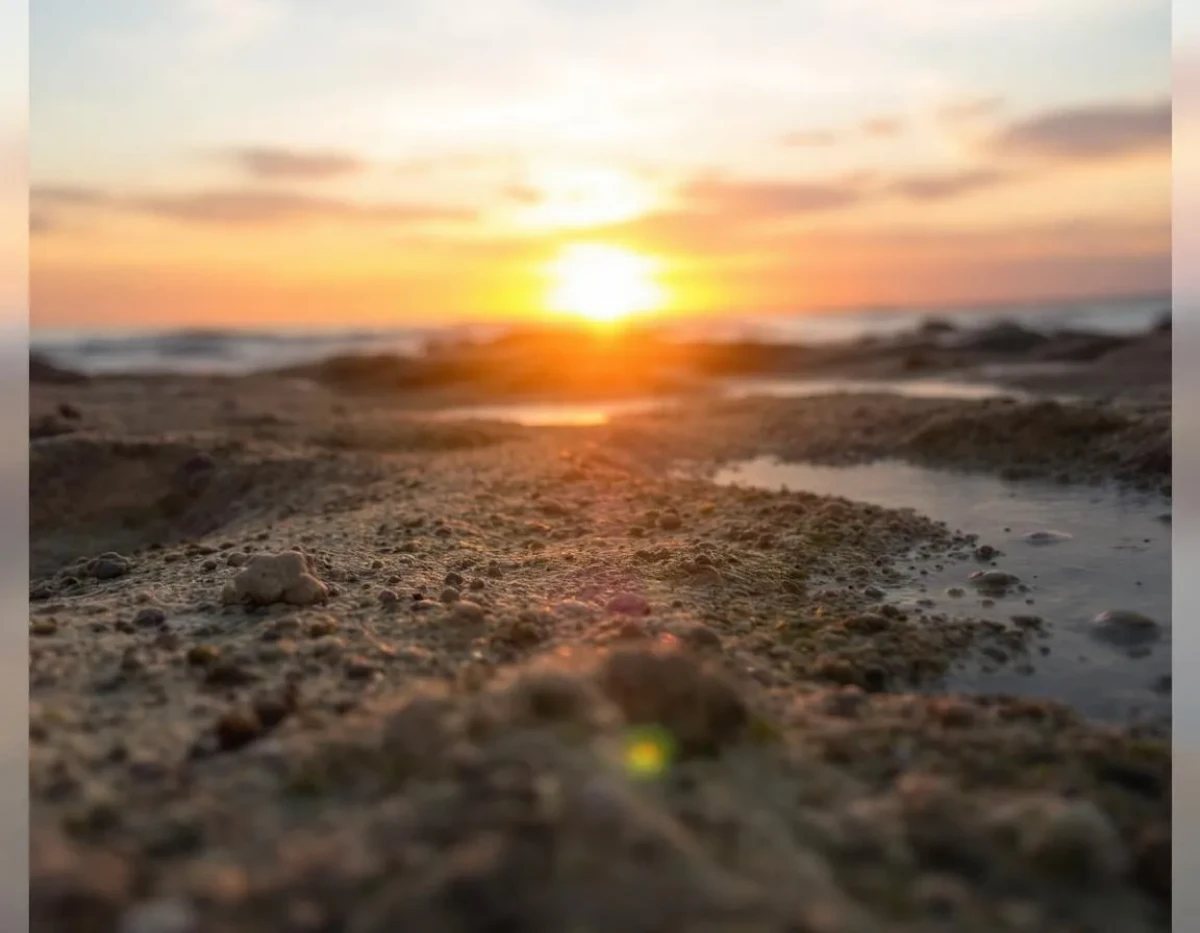 découvrez comment evoluseo peut transformer votre stratégie seo en 2026 pour booster votre visibilité et atteindre vos objectifs en ligne.